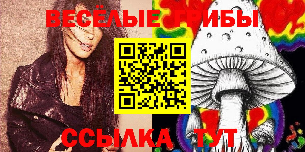Псилоцибиновые грибы Psilocybe  Вход с VPN  Чистополь 